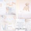 Snips and Snails and Puppy Dog Tails Birthday by Pretty Plain Paper