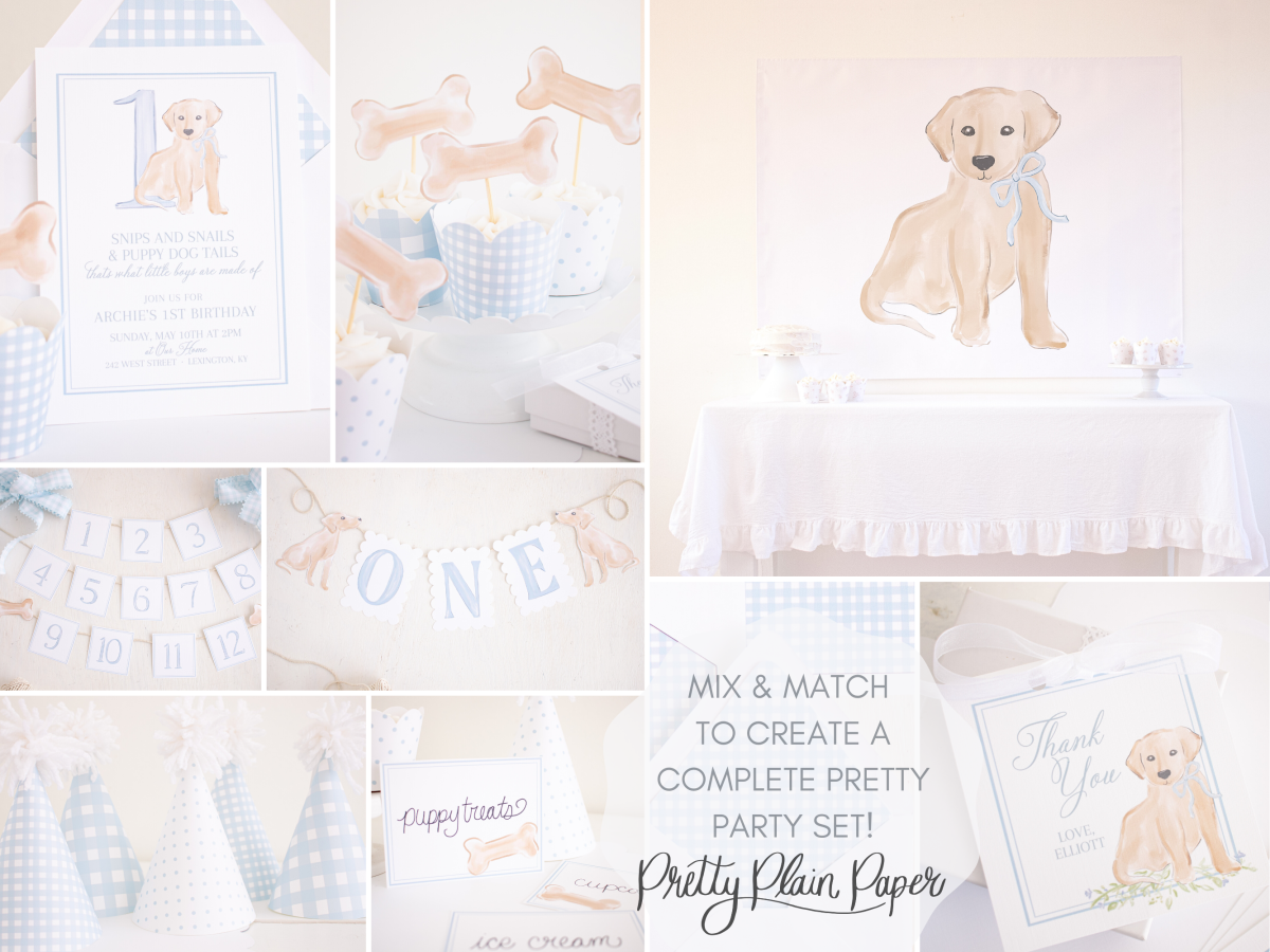 Snips and Snails and Puppy Dog Tails Birthday by Pretty Plain Paper