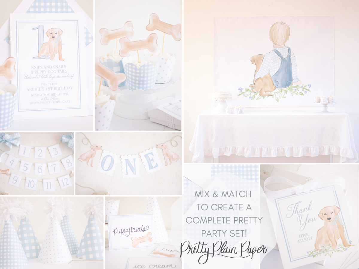 Snips and Snails and Puppy Dog Tails Birthday by Pretty Plain Paper