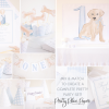 Snips and Snails and Puppy Dog Tails Birthday by Pretty Plain Paper