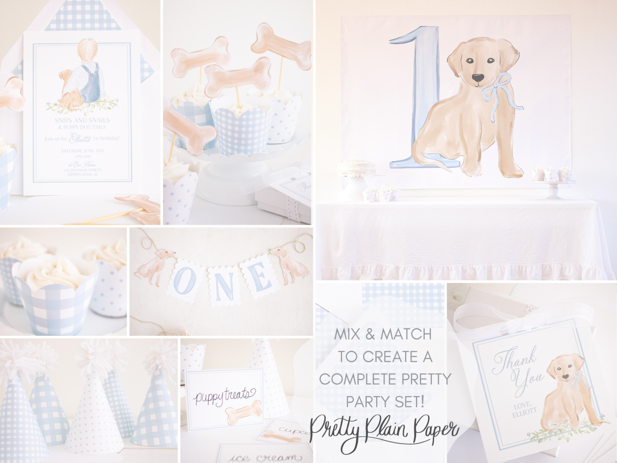 Snips and Snails and Puppy Dog Tails Birthday by Pretty Plain Paper