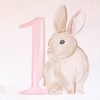 Watercolor Pink Floral Bunny Birthday Party Backdrop by Pretty Plain Paper for a Some Bunny is One Birthday Party or a Bunny Birthday Theme