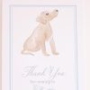 Snips and Snails Welcome Sign for a Snips and Snails and Puppy Dog Tails Puppy Dog Birthday by Pretty Plain Paper