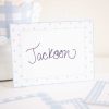 Blue Gingham and Dot Pattern Place Cards or Food and Beverage Labels for a Blue Gingham Birthday by Pretty Plain Paper