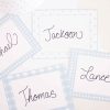 Blue Gingham and Dot Pattern Place Cards or Food and Beverage Labels for a Blue Gingham Birthday by Pretty Plain Paper