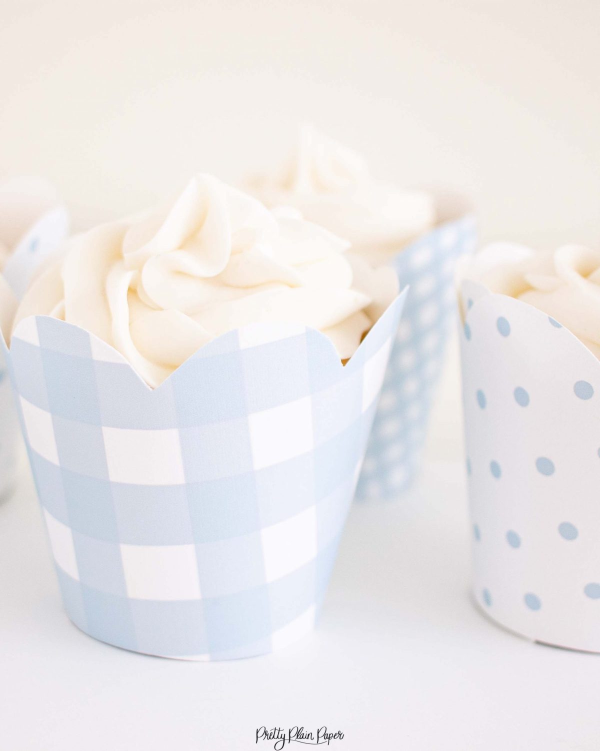 Blue Gingham and Polka Dot Cupcake Wrappers by Pretty Plain Paper