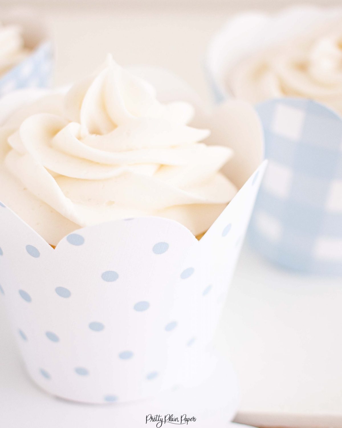 Blue Gingham and Polka Dot Cupcake Wrappers by Pretty Plain Paper