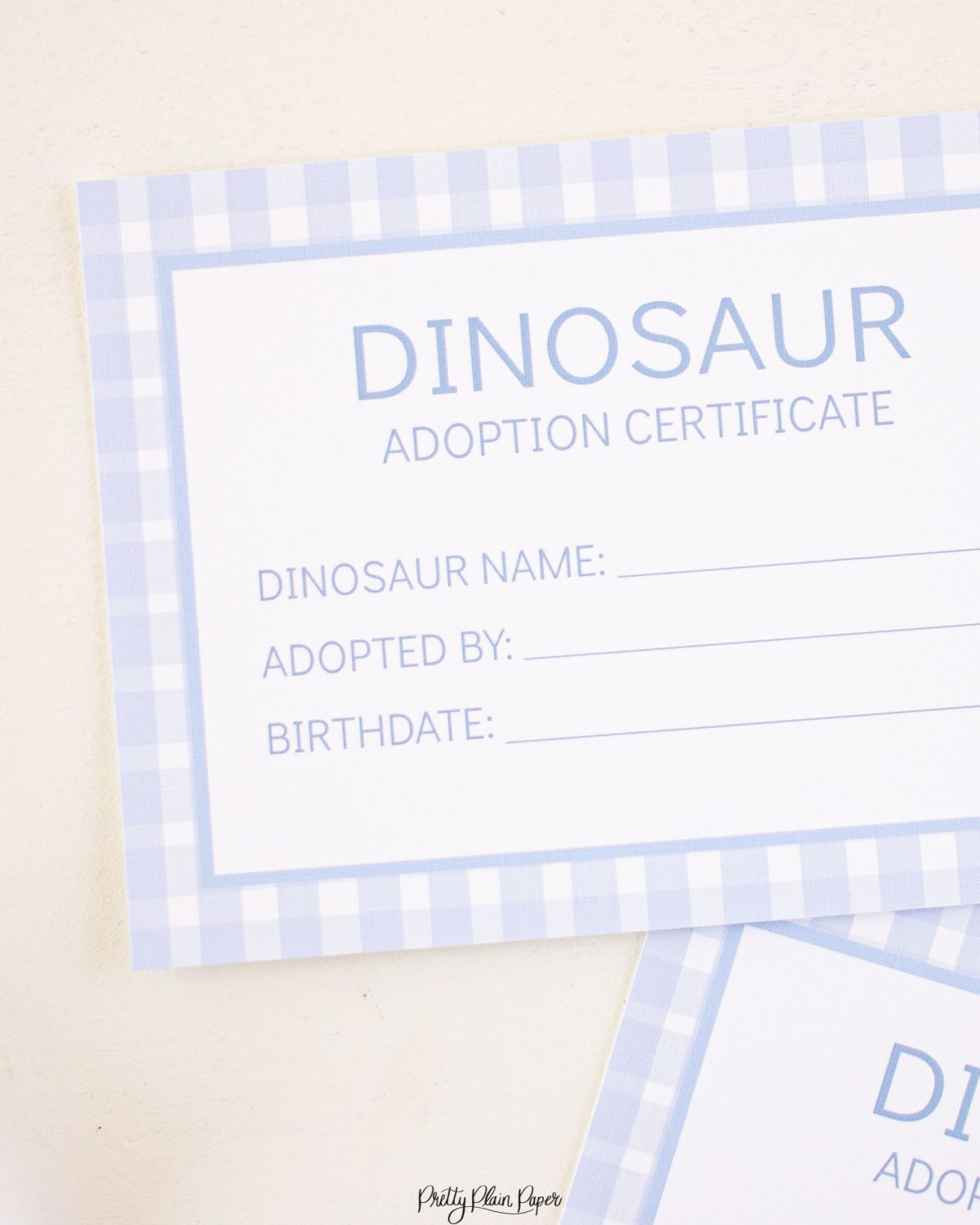 Adopt a Dinosaur Certificate for a Unicorn Party Favor or Party Activity by Pretty Plain Paper; A Watercolor Unicorn & Dinosaur Party Set