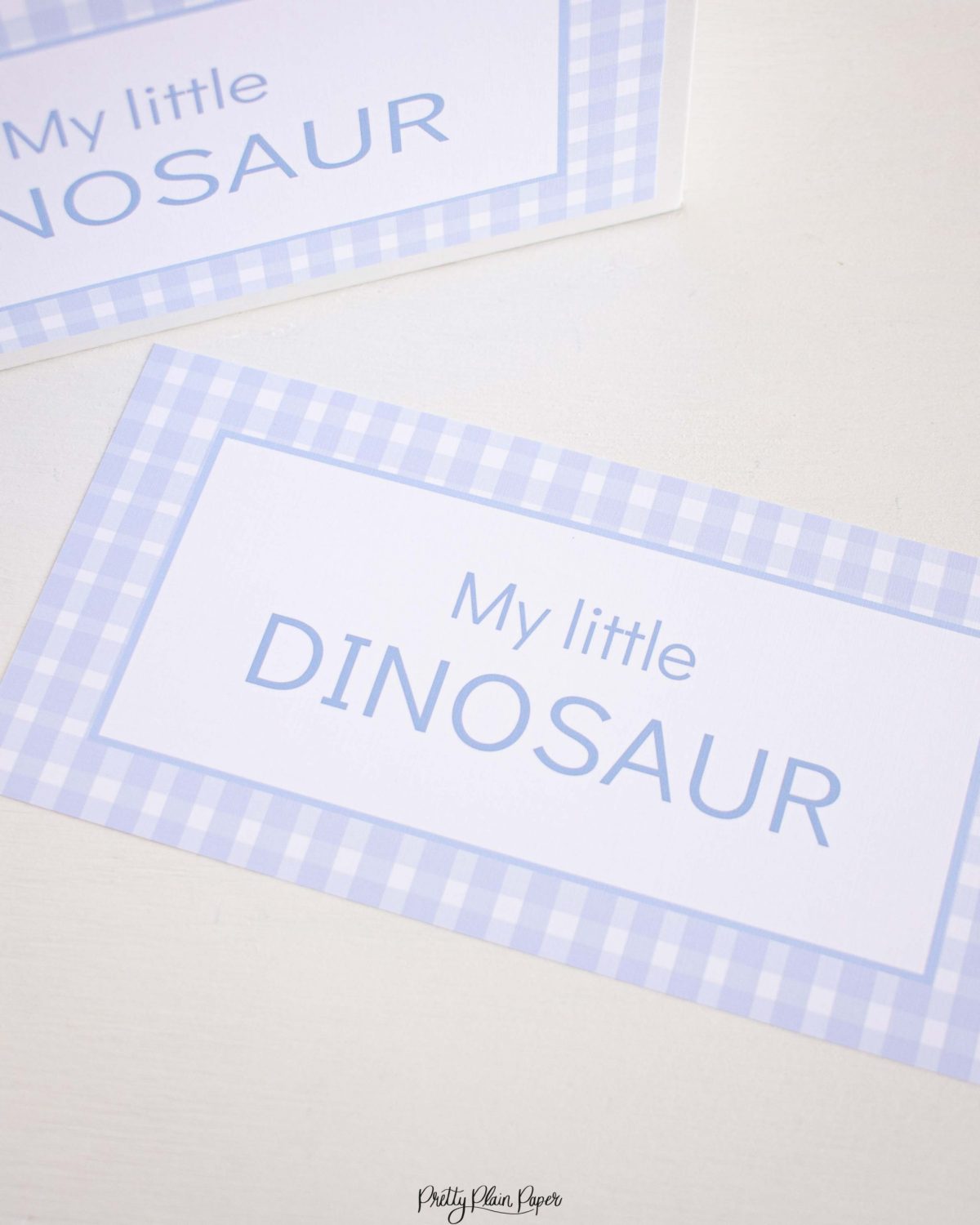 My Little Dinosaur Label for Adopt a Dinosaur Party Favor Activity by Pretty Plain Paper