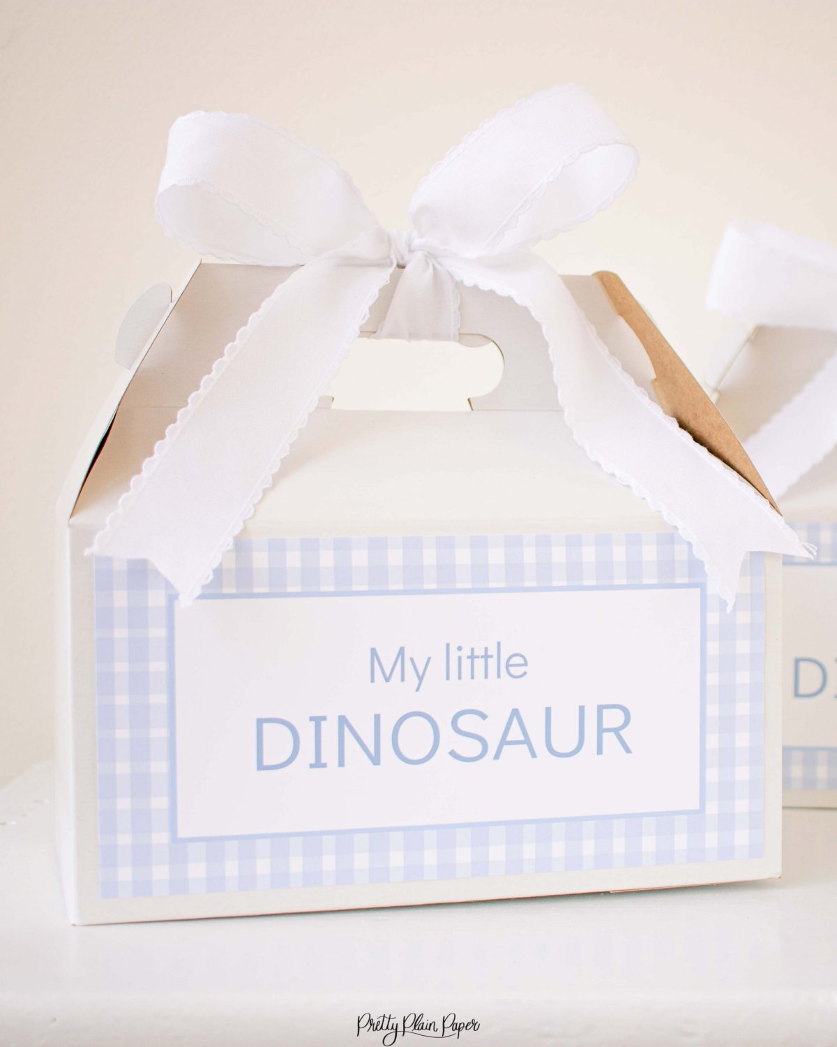 My Little Dinosaur Label for Adopt a Dinosaur Party Favor Activity by Pretty Plain Paper