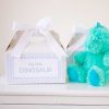 My Little Dinosaur Label for Adopt a Dinosaur Party Favor Activity by Pretty Plain Paper