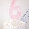 Watercolor Pink 6 Cake Topper by Pretty Plain Paper for a Sixth Birthday Party